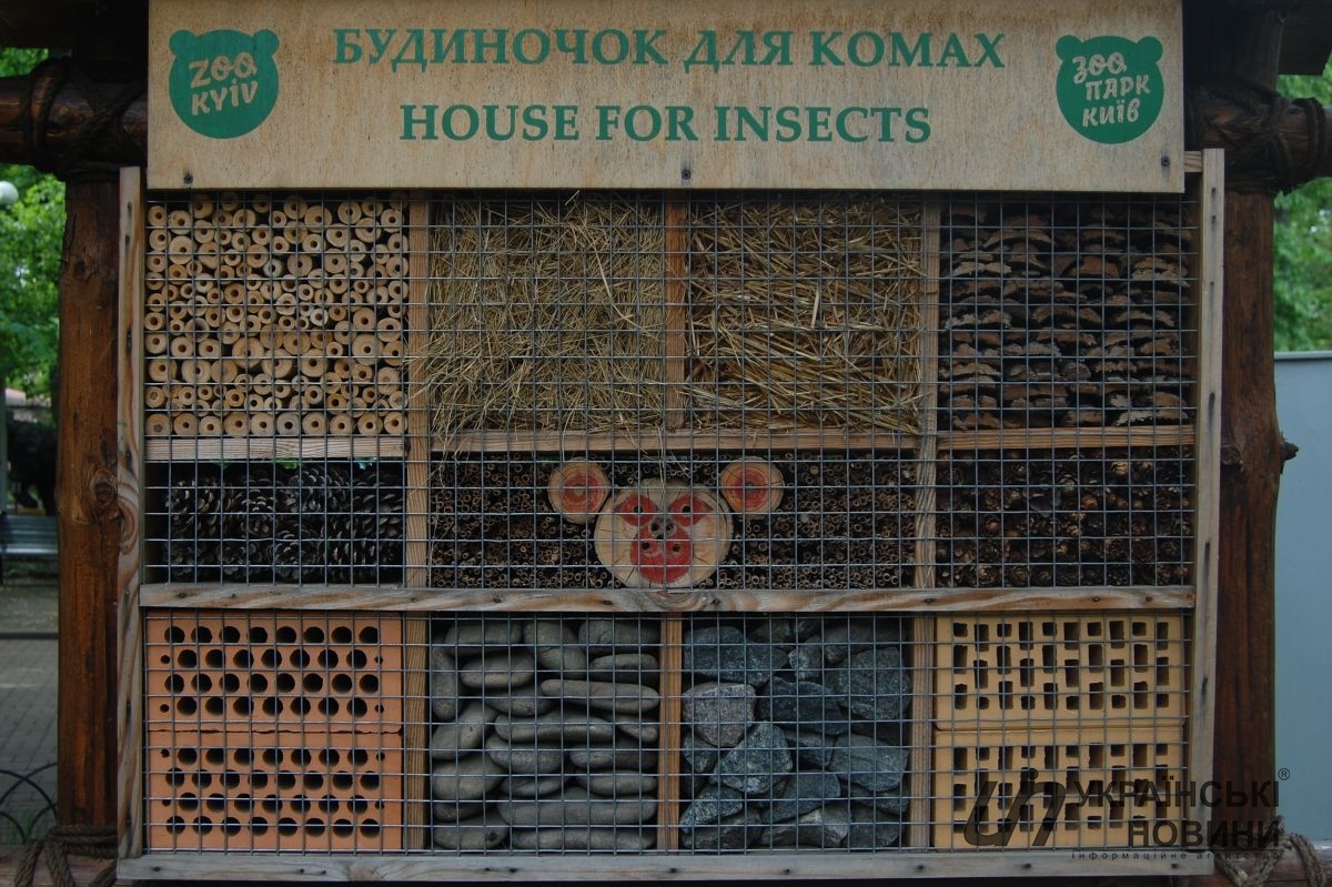 Дом насекомых в Киевском зоопарке