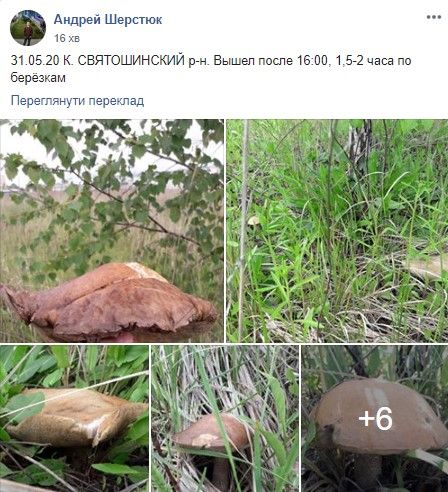 Скриншот поста Андрея Шерстюка