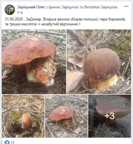 Скриншот поста Зарицкого Олега
