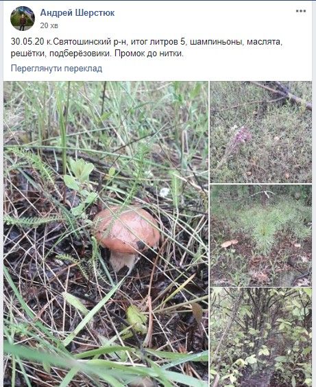Скриншот поста Андрея Шерстюка 30 мая