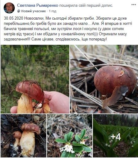Скриншот поста Светланы Рамаренко