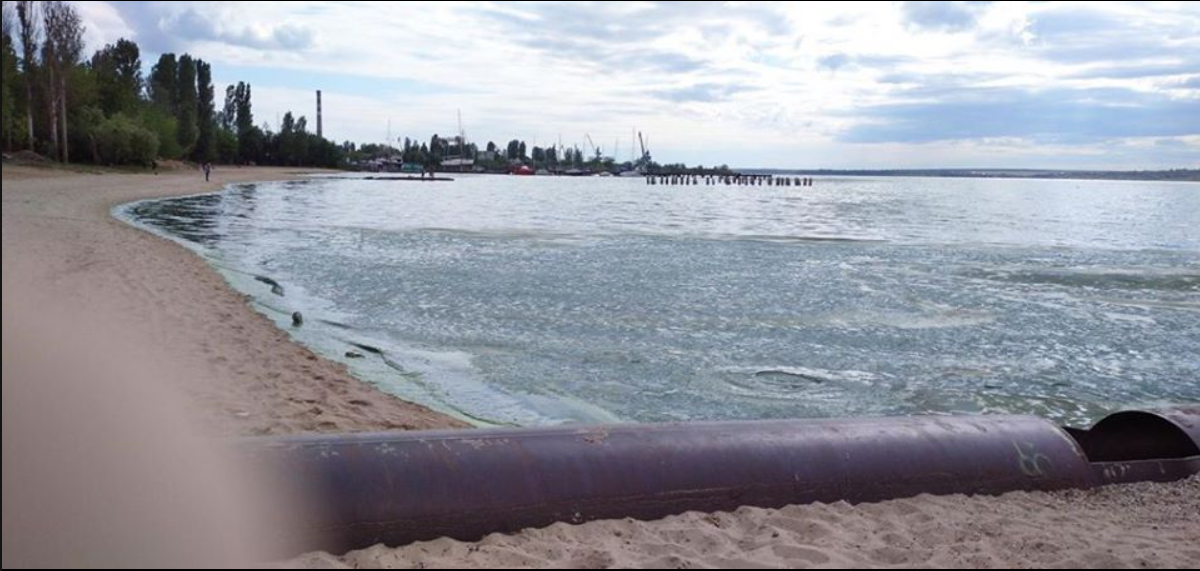 Николаевский пляж с зеленой водой. Фото: Contact Center при Миколаївській міській раді