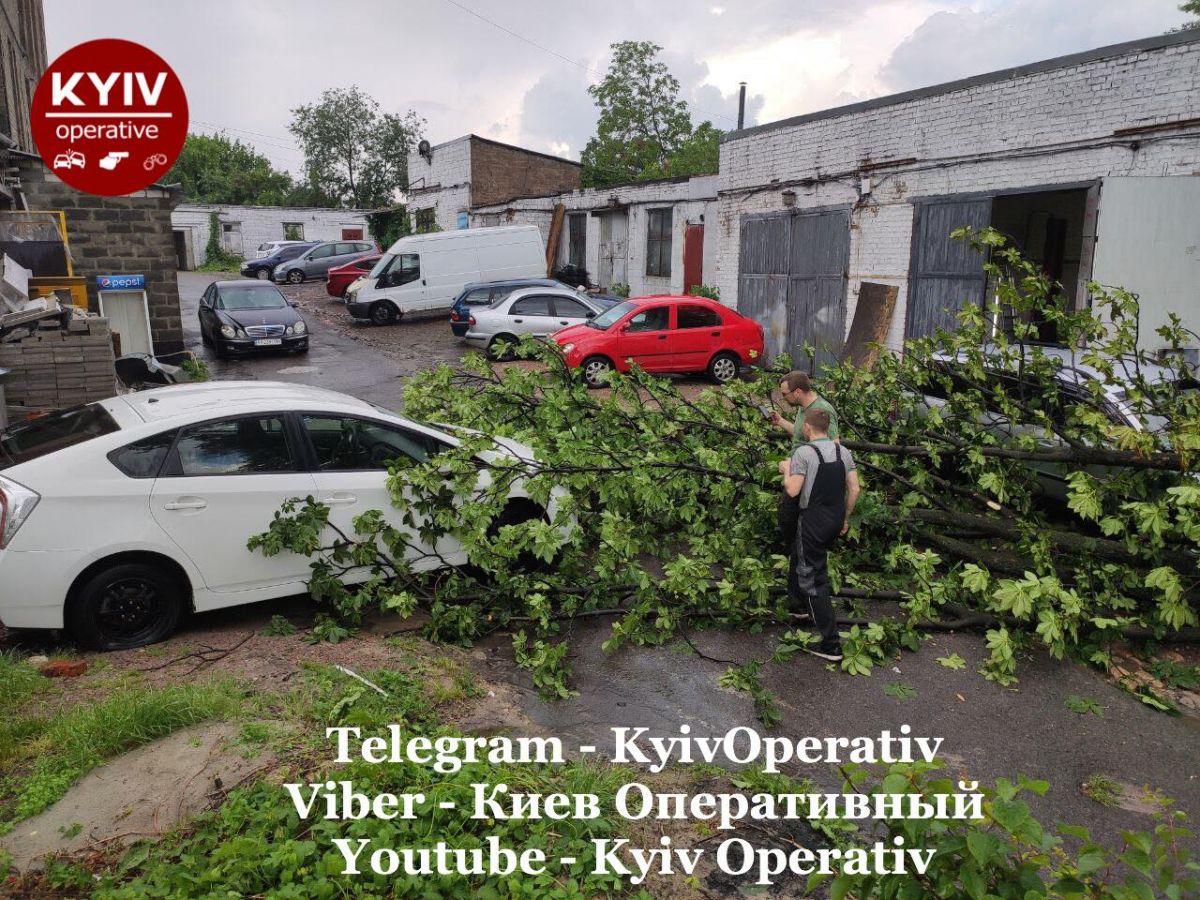 Дерево упало на машину в Киеве. Фото: Facebook 