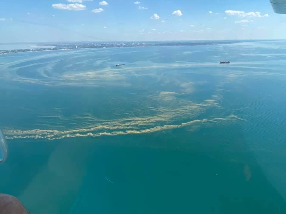 Вода в Чорному морі. Фото: Госпродпотребслужба