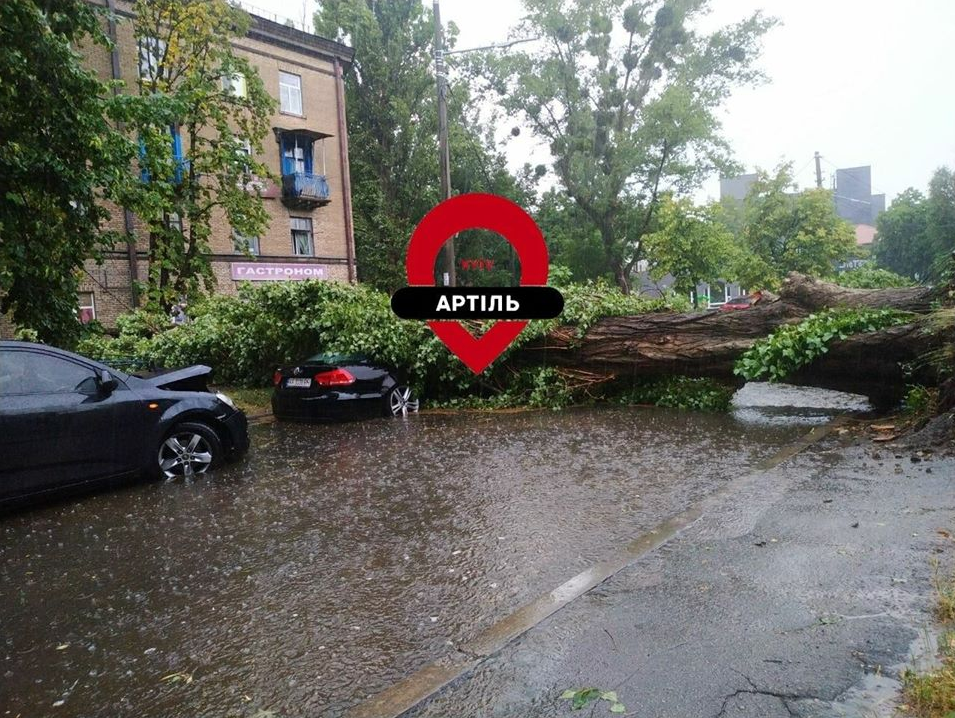 Впало дерево на Лютеранській. Фото: Артіль