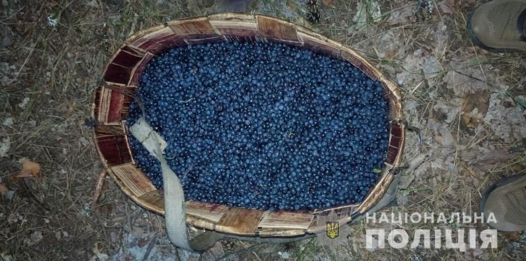 Ягоды. Фото: пресс-служба полиции Киевской области