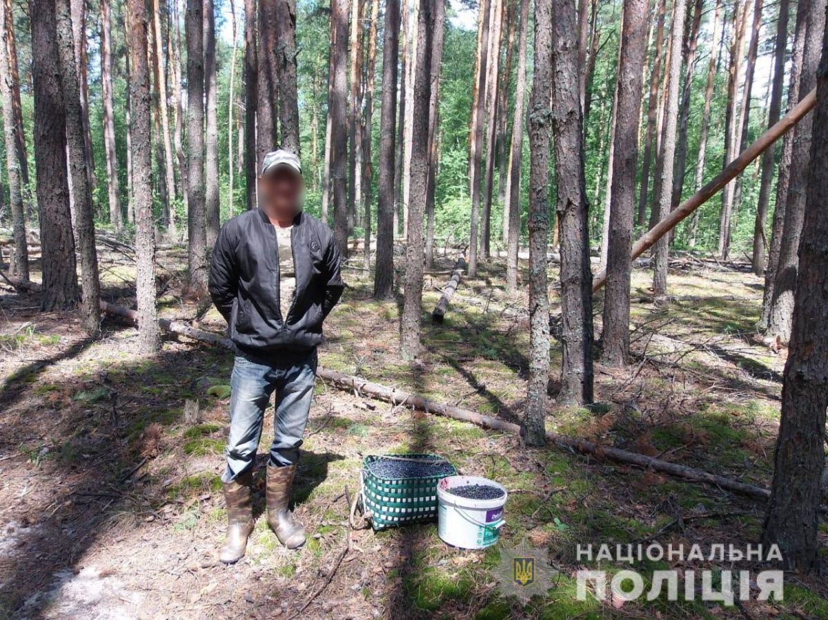 Грибник из Чернобыля. Фото: пресс-служба полиции Киевской области