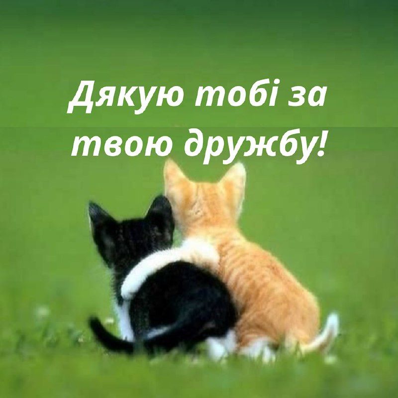 З Днем дружби 