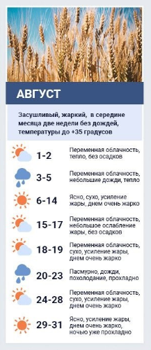 Погода в августе-2020 по прогнозу Леонида Горбаня. Коллаж: Сегодня


