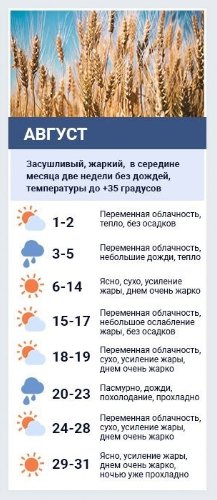 Погода в августе-2020 по прогнозу Леонида Горбаня. Коллаж: Сегодня

