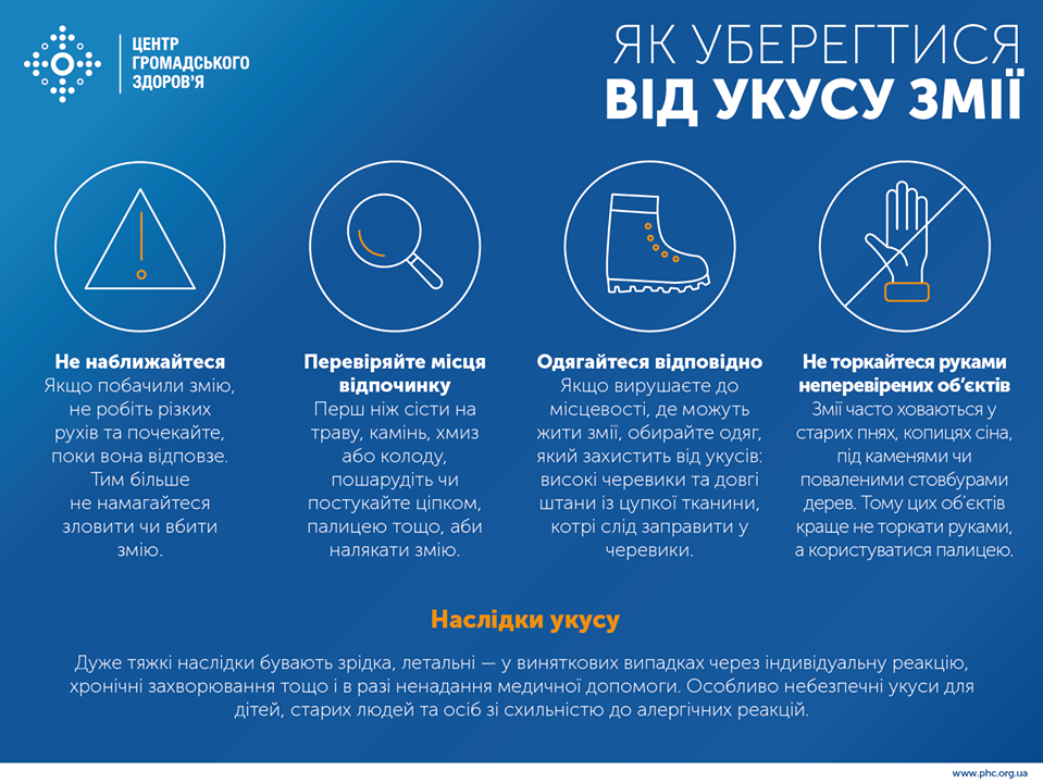 Как уберечься от укуса змеи. Инфографика: ЦОЗ