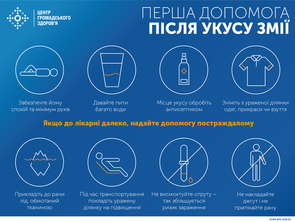 Первая помощь после укуса змеи. Инфографика: ЦОЗ