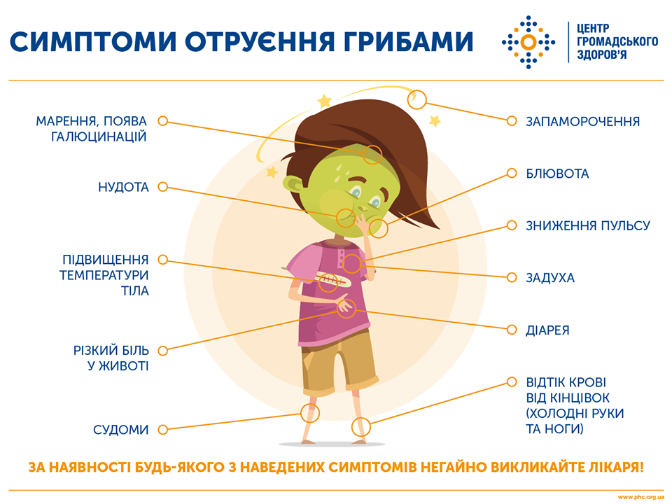 Симптомы отравления грибами. Инфографика: ЦОЗ