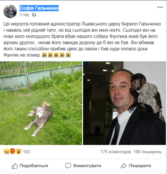 Скриншот поста Софии Гальченко