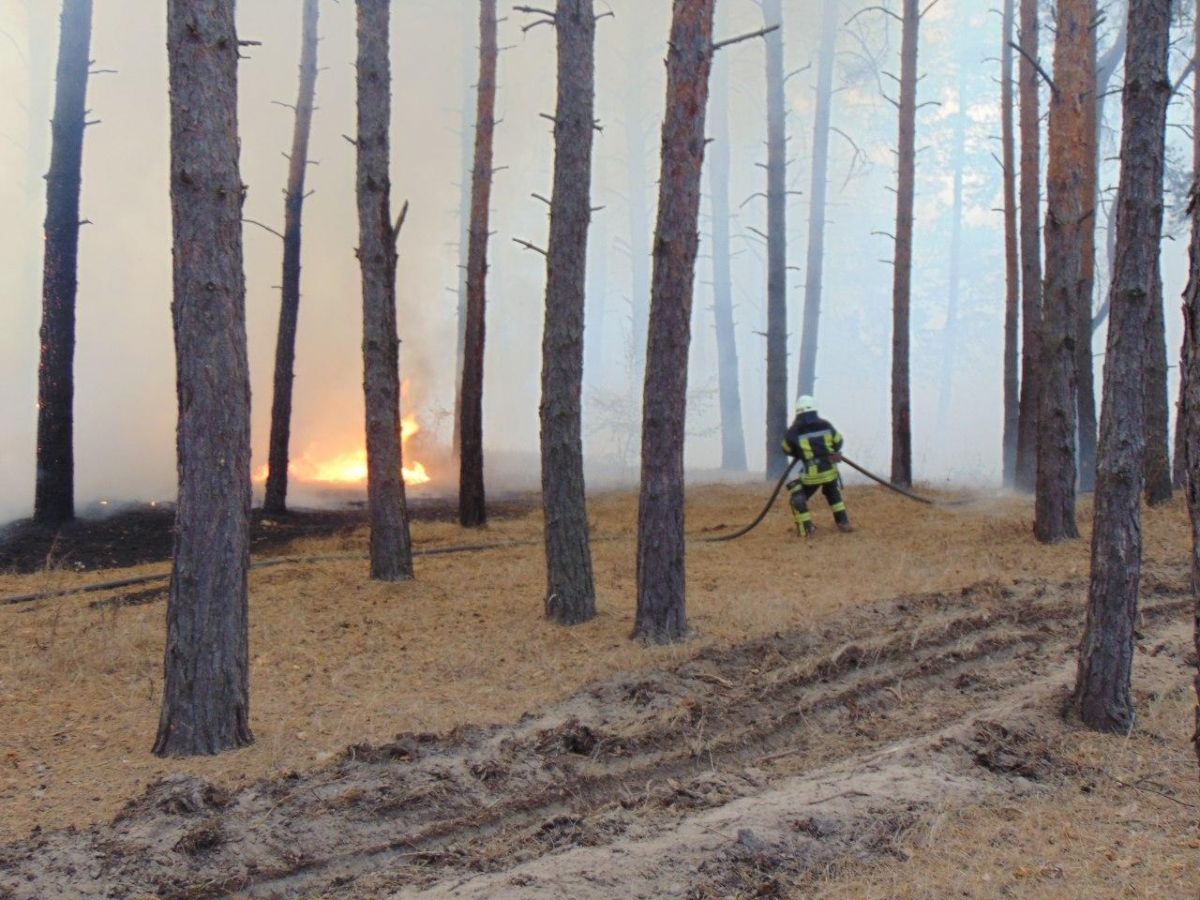 Пожежа в Луганській області.  Фото: прес-служба ГосЧС