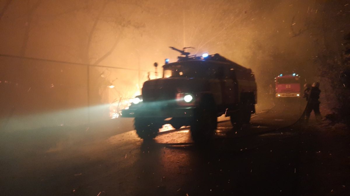 Пожары в Луганской области. Фото: ГСЧС