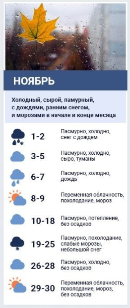 Погода в ноябре от народного синоптика. Коллаж Сегодня. 