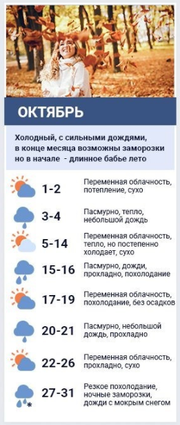 Погода в октябре от народного синоптика. Коллаж Сегодня. 