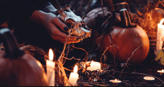 Хэллоуинские тыквы. Фото: wisdom.thealchemistskitchen.com