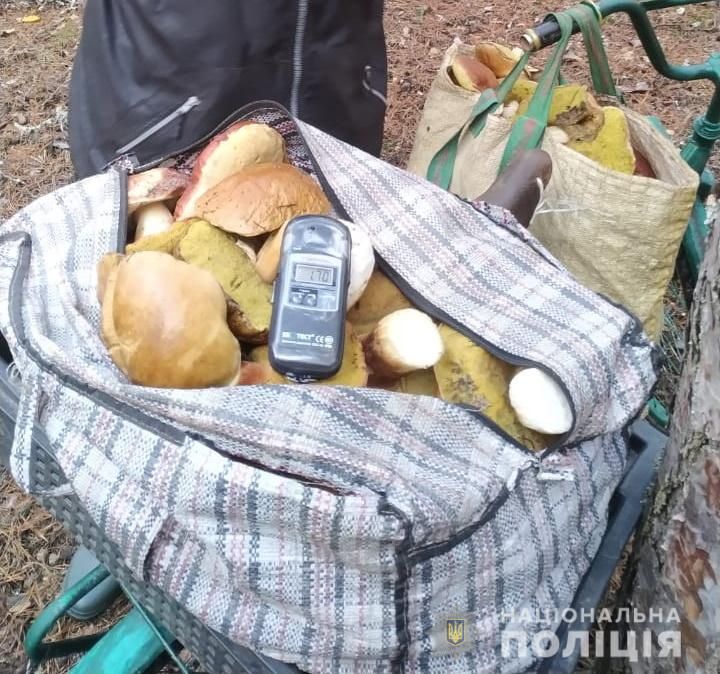 Радіаційні гриби.  Фото: Нацполіція