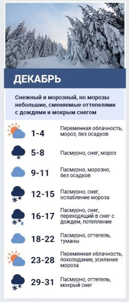 Погода в грудні.  Колаж: Сьогодні