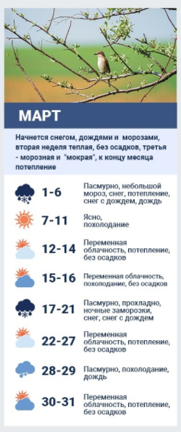 Погода в березні-2021 від народного синоптика.  Колаж: Сьогодні