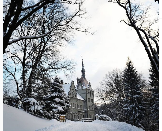 Замок графов Шенборнов Берегвар. Фото: Instagram