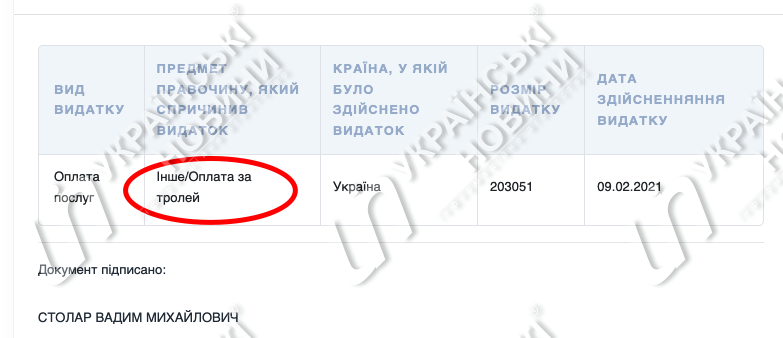 Скриншот декларации Вадима Столара