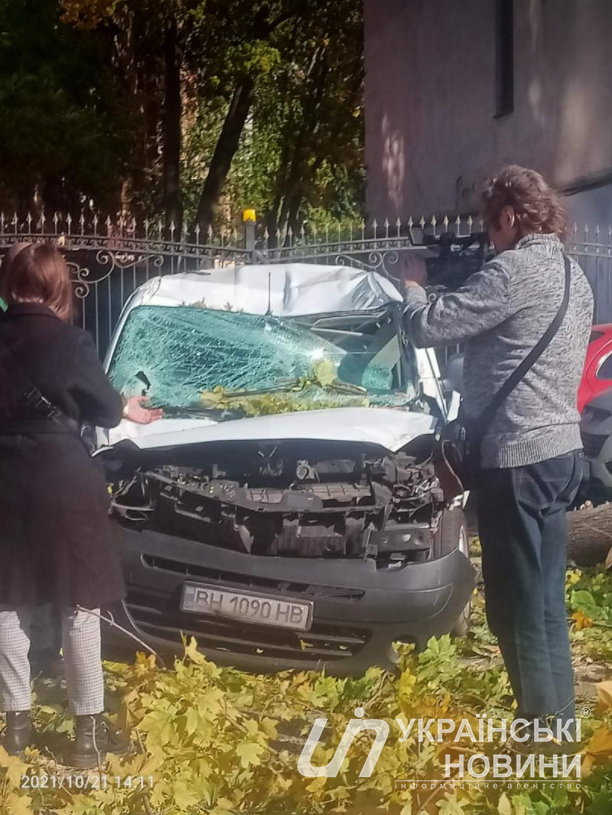 Дерево упало на автомобиль в Одессе