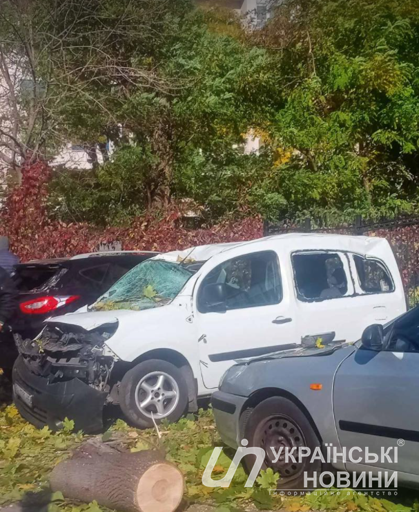 Штормовой ветер повалил деревья в Одессе