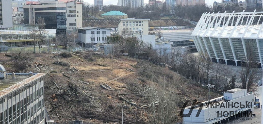Вырубка деревьев в центре Киева