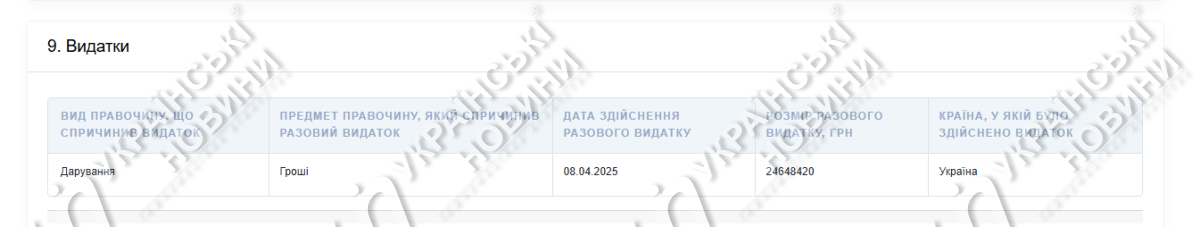Декларация Бориса Филатова. Скриншот: УН