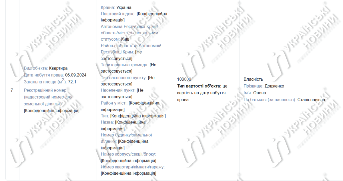 Декларація Олени Довженко. Скриншот: УН