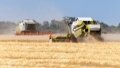 Ukrainian farmers harvest almost 29 million tons of grain crops