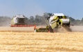 Ukrainian farmers harvest almost 29 million tons of grain crops
