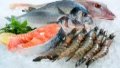 Ukraine ups import of agricultural products by 10% in H1, 2024