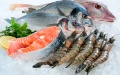 Ukraine ups import of agricultural products by 10% in H1, 2024