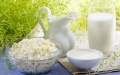 Export of Ukrainian dairy products up 10% to 101,600 tons in 10M