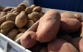 Potato prices in Ukraine rising due to increased demand