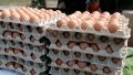 Eggs. Photo: Ukrainian Photo