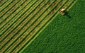 Banks allocate loans to farmers worth UAH 33.4 billion since year start