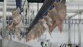 Ukraine resumes chicken exports to Moldova