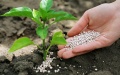 Extension Of Grain Agreement Leads To Growth Of Fertilizer Market By 15-17% - Group DF