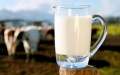 Ukraine reduces import of dairy products by 12% to 38,100 tons