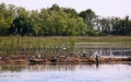 160,000 Birds At Risk Of Death Due To Blowing Up Of Kakhovka HEPP - Environmental Protection Ministry