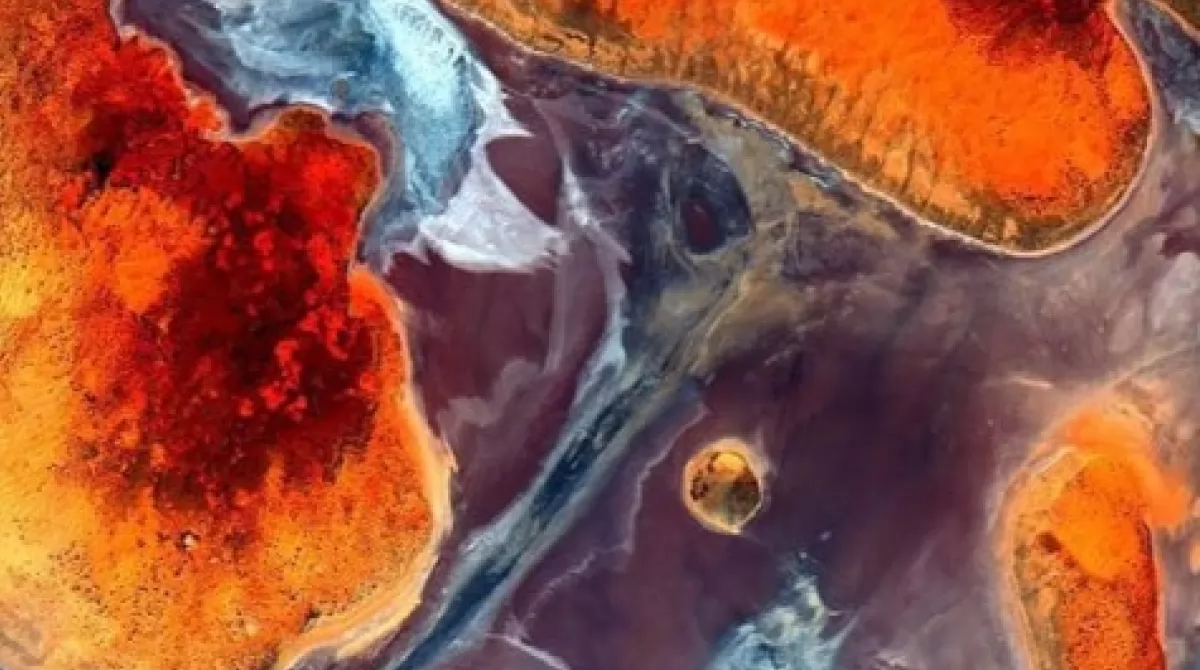 Вид Земли из космоса. Фото: NASA