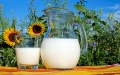 Export of Ukrainian dairy products up 35% in 5M