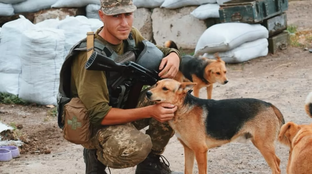 Военные с любимцами. Фото: facebook/56-а-окрема-мотопіхотна-Маріупольська-бригада Военные с любимцами. Фото: facebook/56-а-окрема-мотопіхотна-Маріупольська-бригада