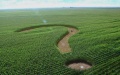 A plot of land. Photo: etcetera.media