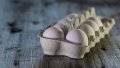 Bulgaria initiates ban on import of eggs from Ukraine to EU